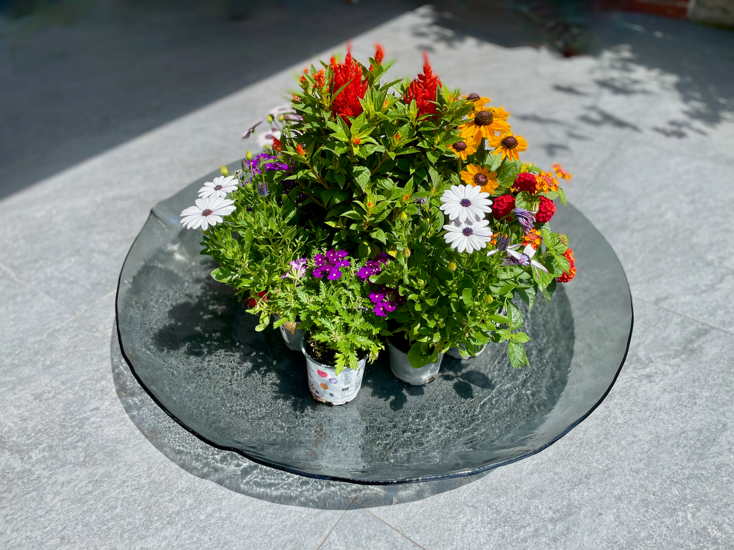 COMO glass garden round organic bowl d80 cm