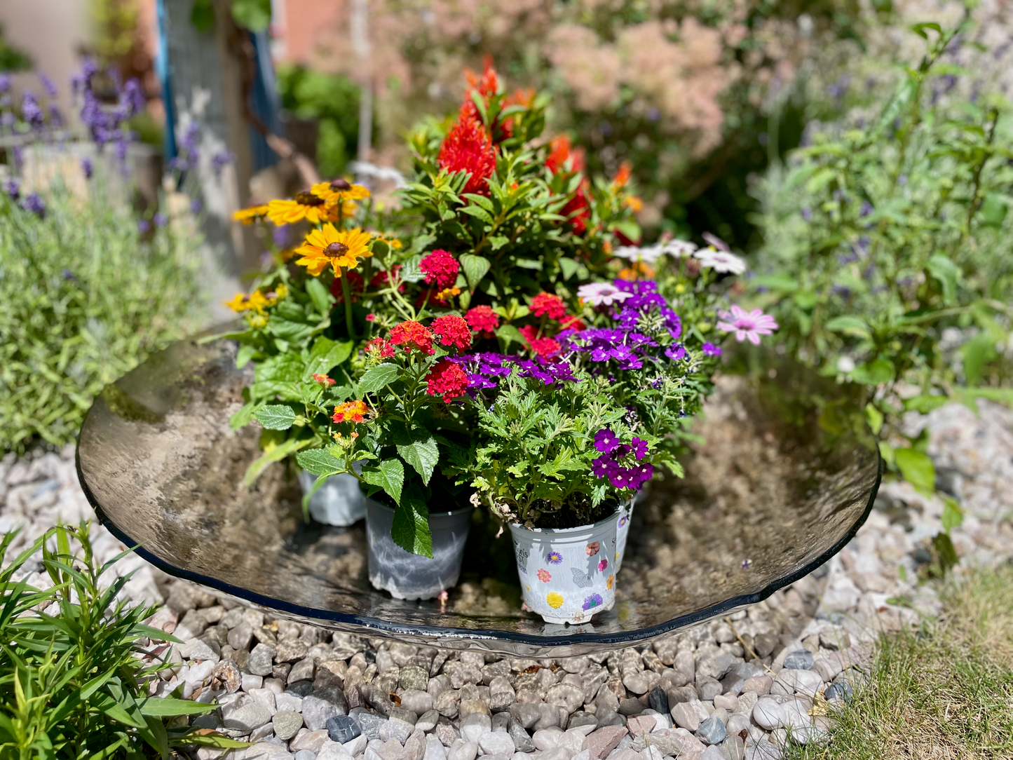 COMO glass garden round organic bowl d80 cm