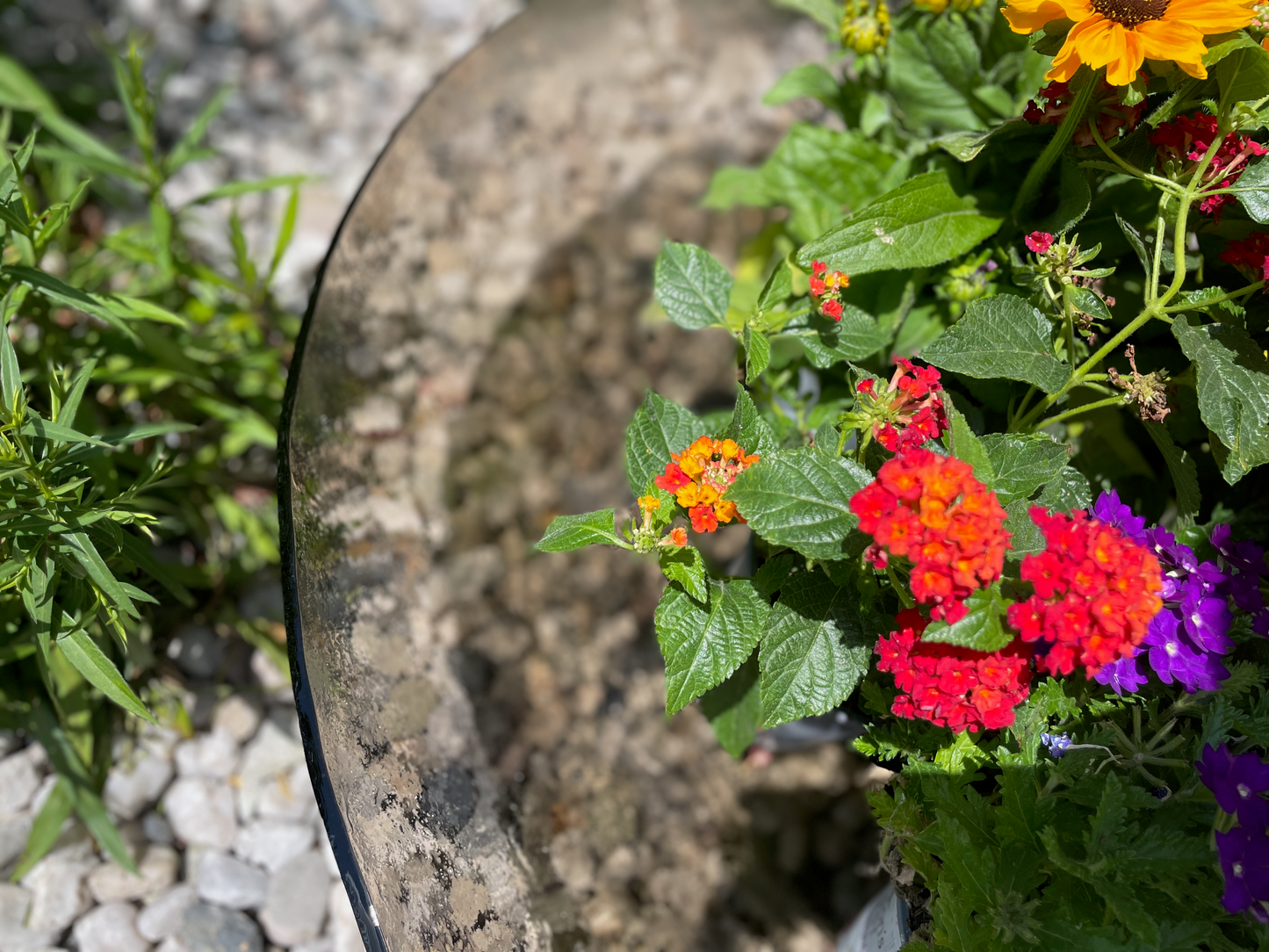 COMO glass garden round organic bowl d80 cm