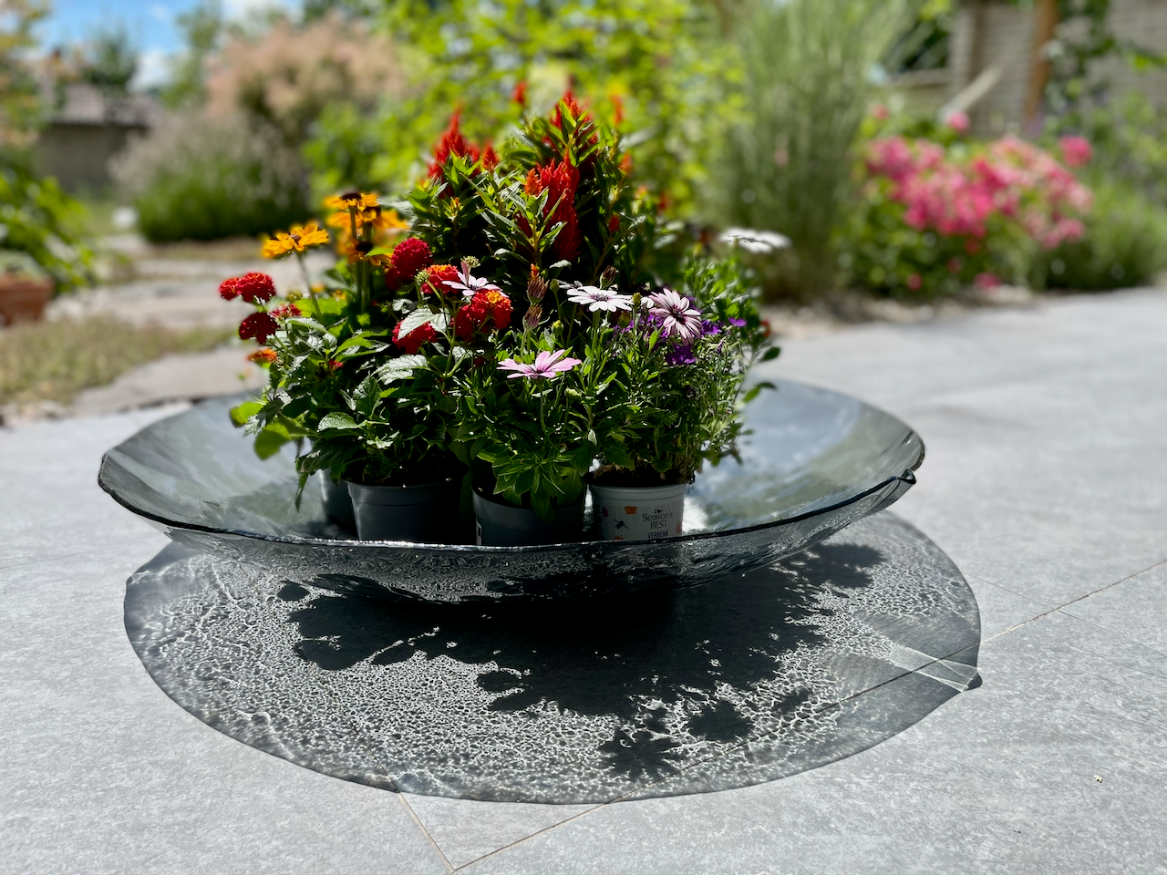 COMO Glasgarten runde Bio-Schale D80 cm